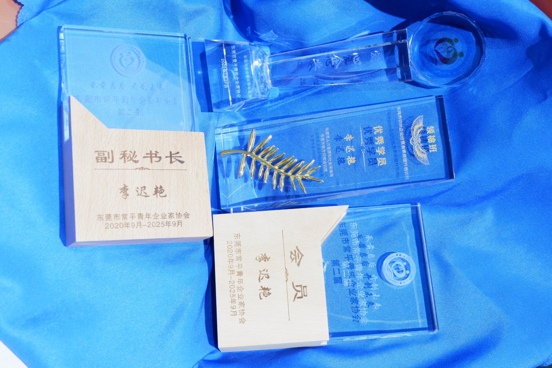 李迟艳相关协会任职与交流牌匾合影